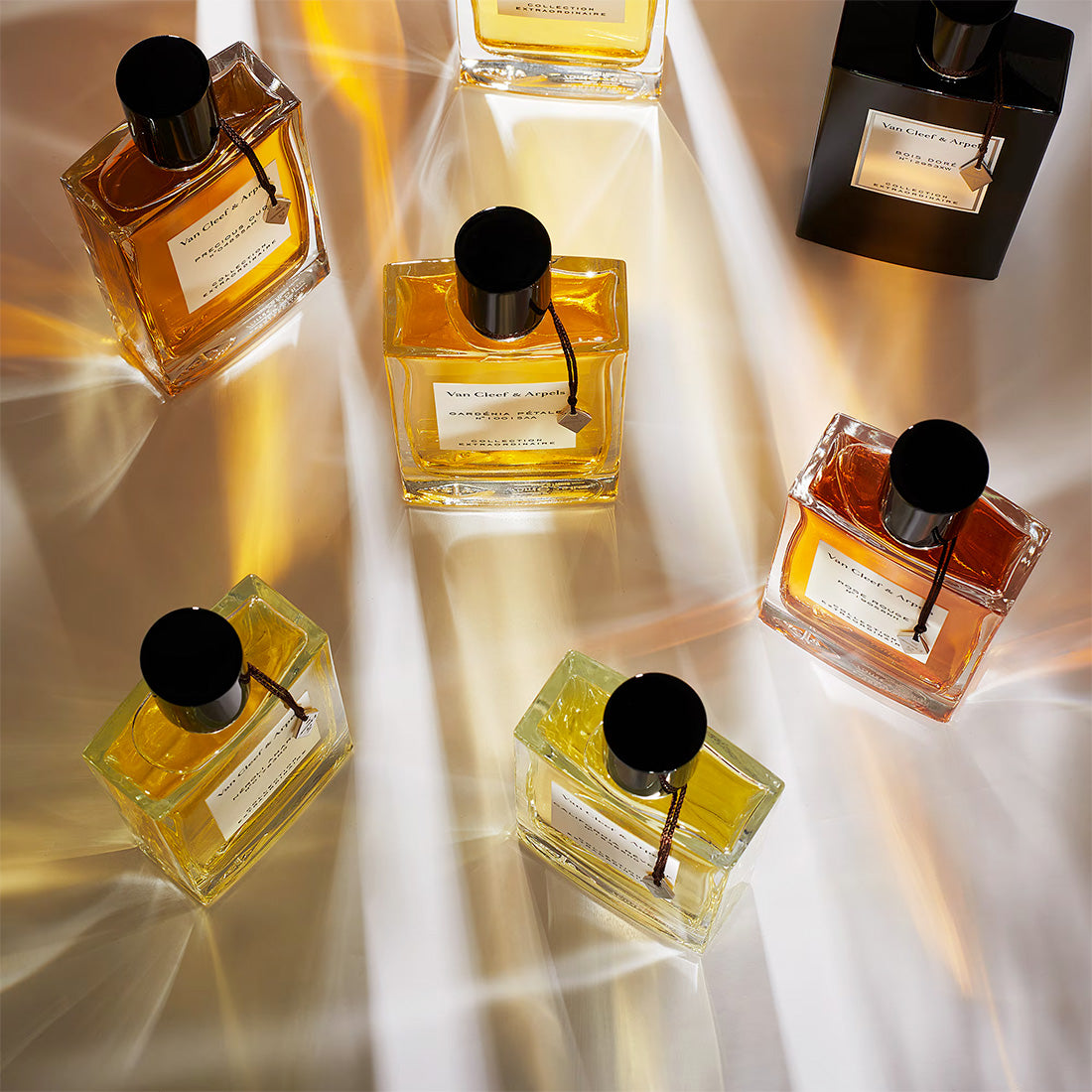 VANCLEEF&ARPELS Fleur De Nuit -7