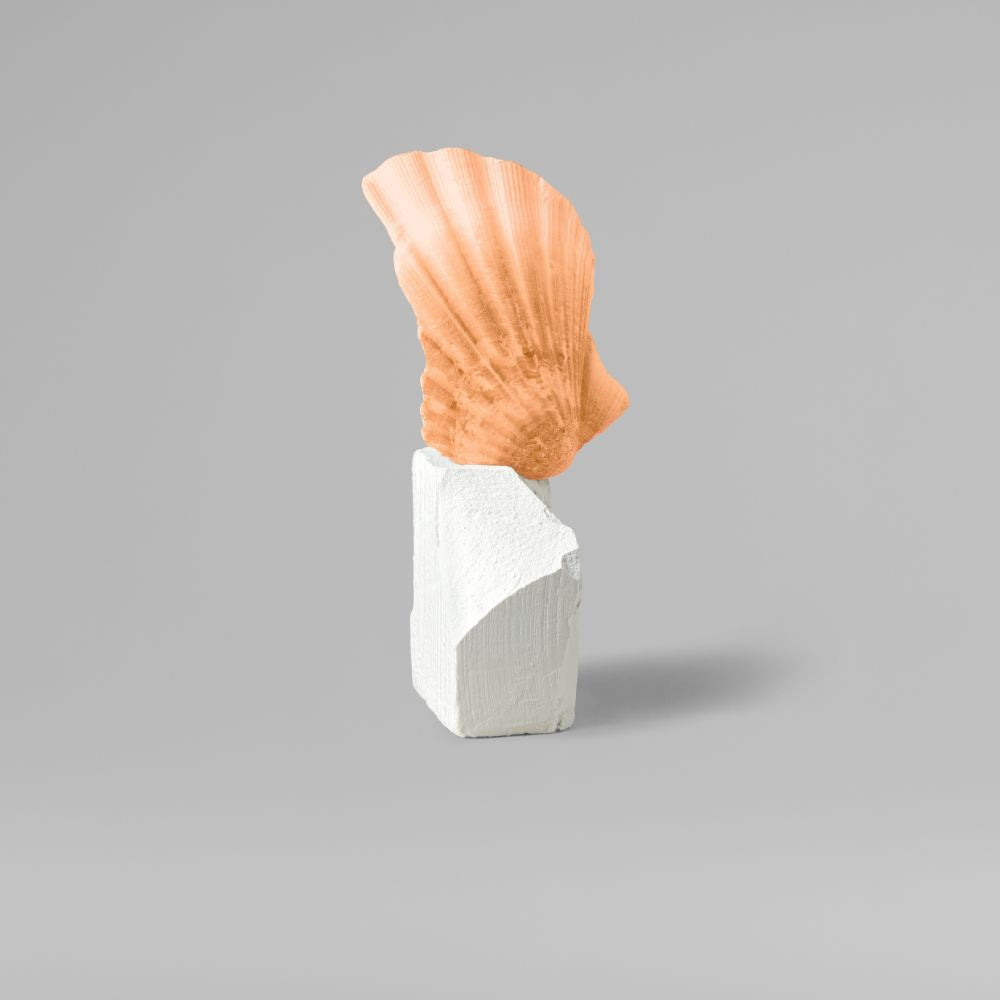 Wella Professionals Color Fresh Mask Peach Blush-7