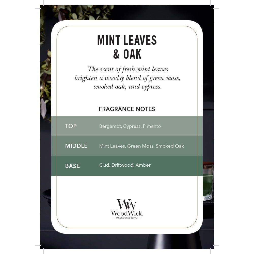 Woodwick Mint Leaves & Oak-2