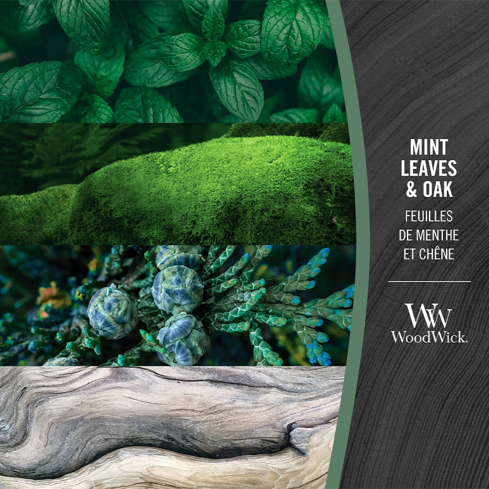 Woodwick Mint Leaves & Oak-3