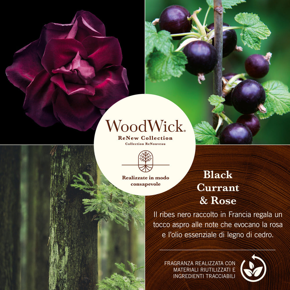 Woodwick ReNew Black Currant & Rose-2