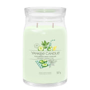 YANKEE CANDLE Cucumber Mint Cooler 