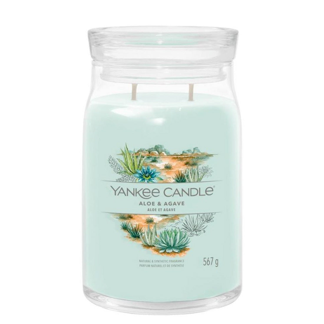 YANKEE CANDLE Signature Giara Aloe & Agave 