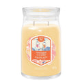 YANKEE CANDLE Slopeside Spritz 