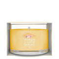 YANKEE CANDLE Slopeside Spritz 