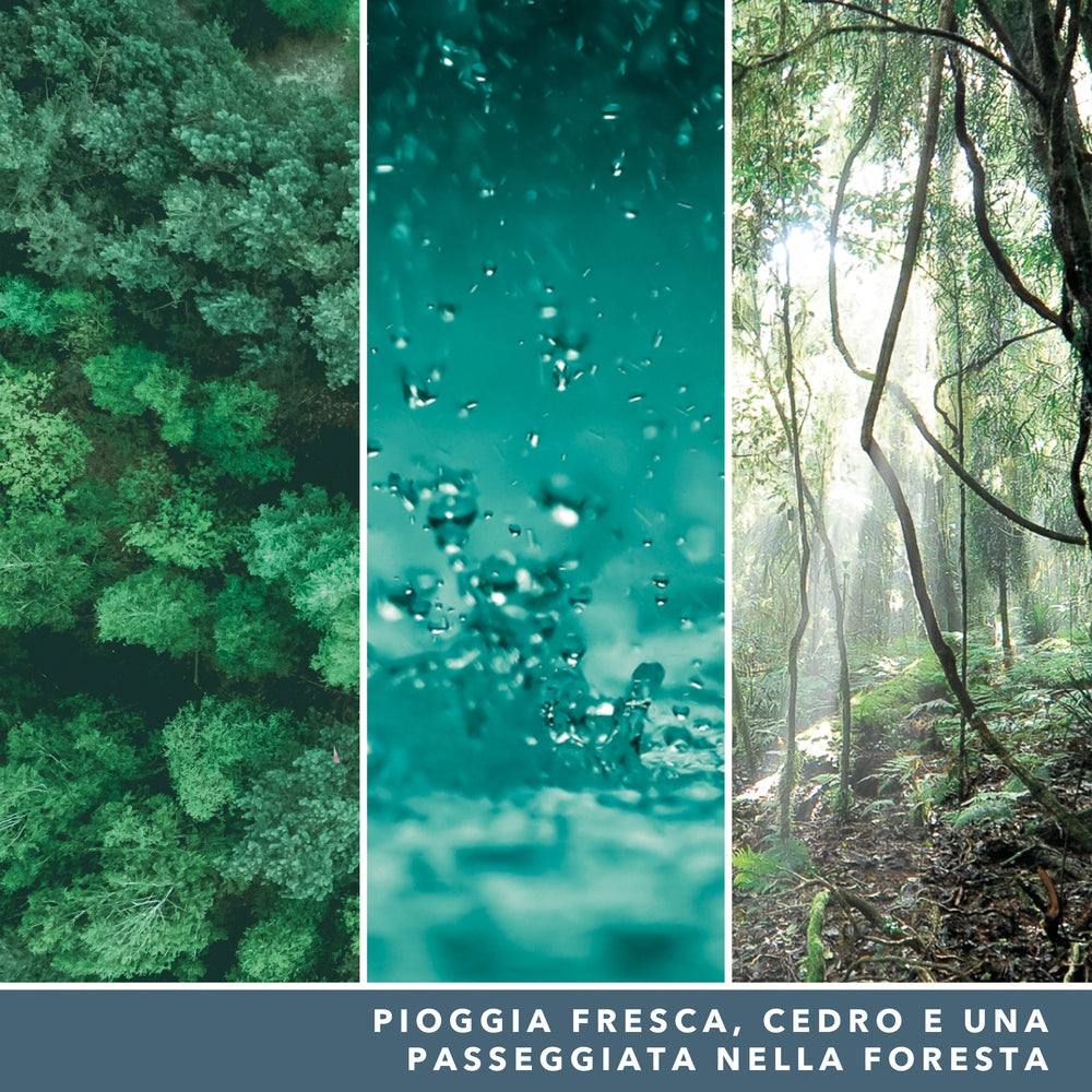 Yankee Candle Bayside Cedar Signature Tumbler-3