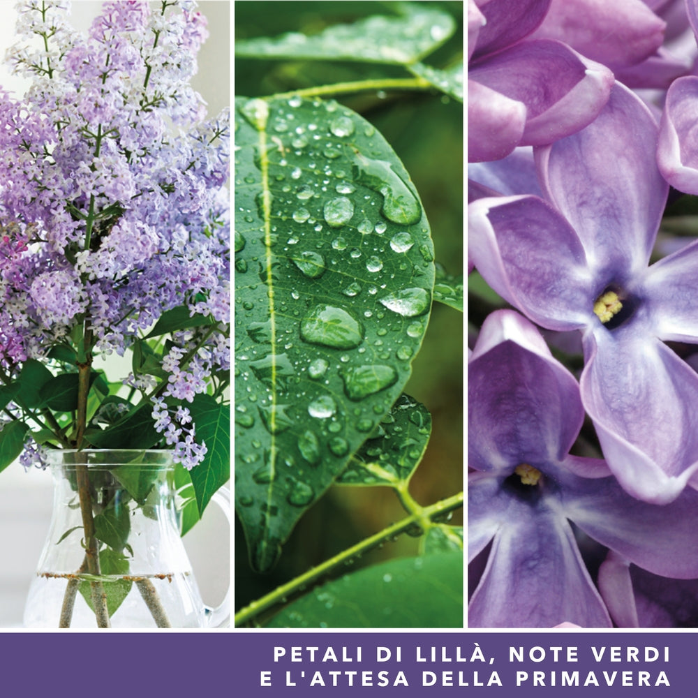 Yankee Candle Lilac Blossoms Signature-4