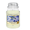 Yankee Candle Midnight Jasmine Grande ht Jasmine