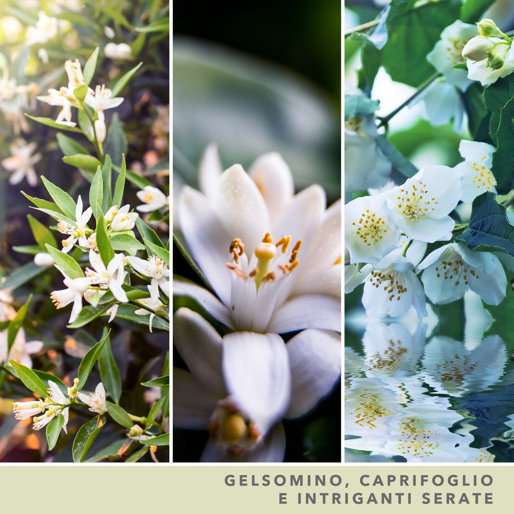 Yankee Candle Midnight Jasmine Signature-3