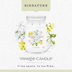 Yankee Candle Midnight Jasmine Signature-3