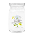 Yankee Candle Midnight Jasmine Signature