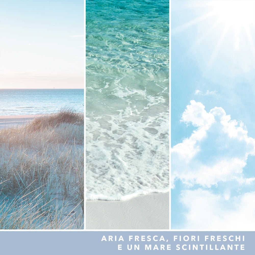 Yankee Candle Ocean Air Signature-4