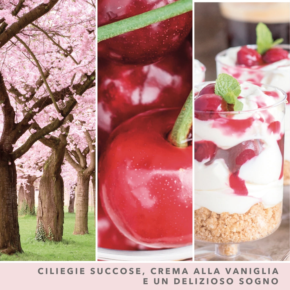 Yankee Candle Pink Cherry & Vanilla Signature-3