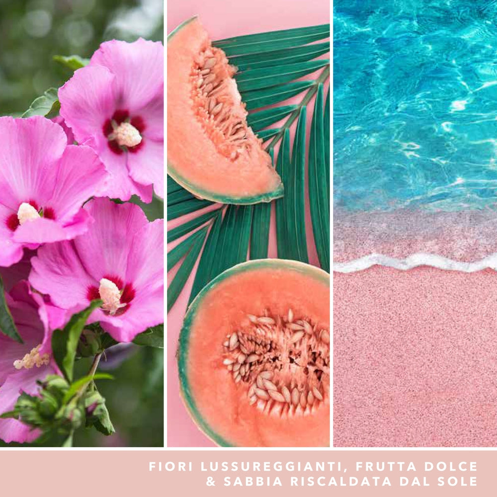 Yankee Candle Pink Sands Signature-3