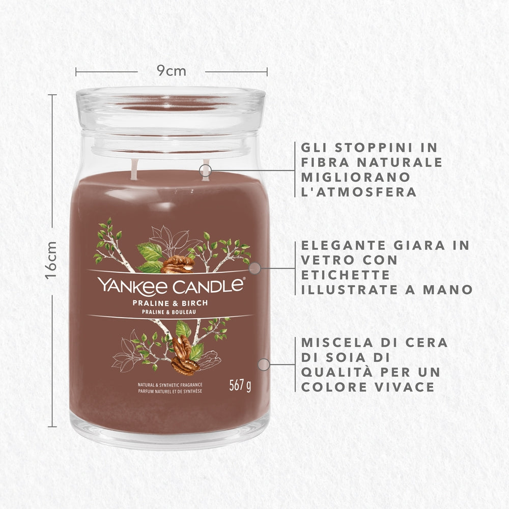 Yankee Candle Praline & Birch Signature-2