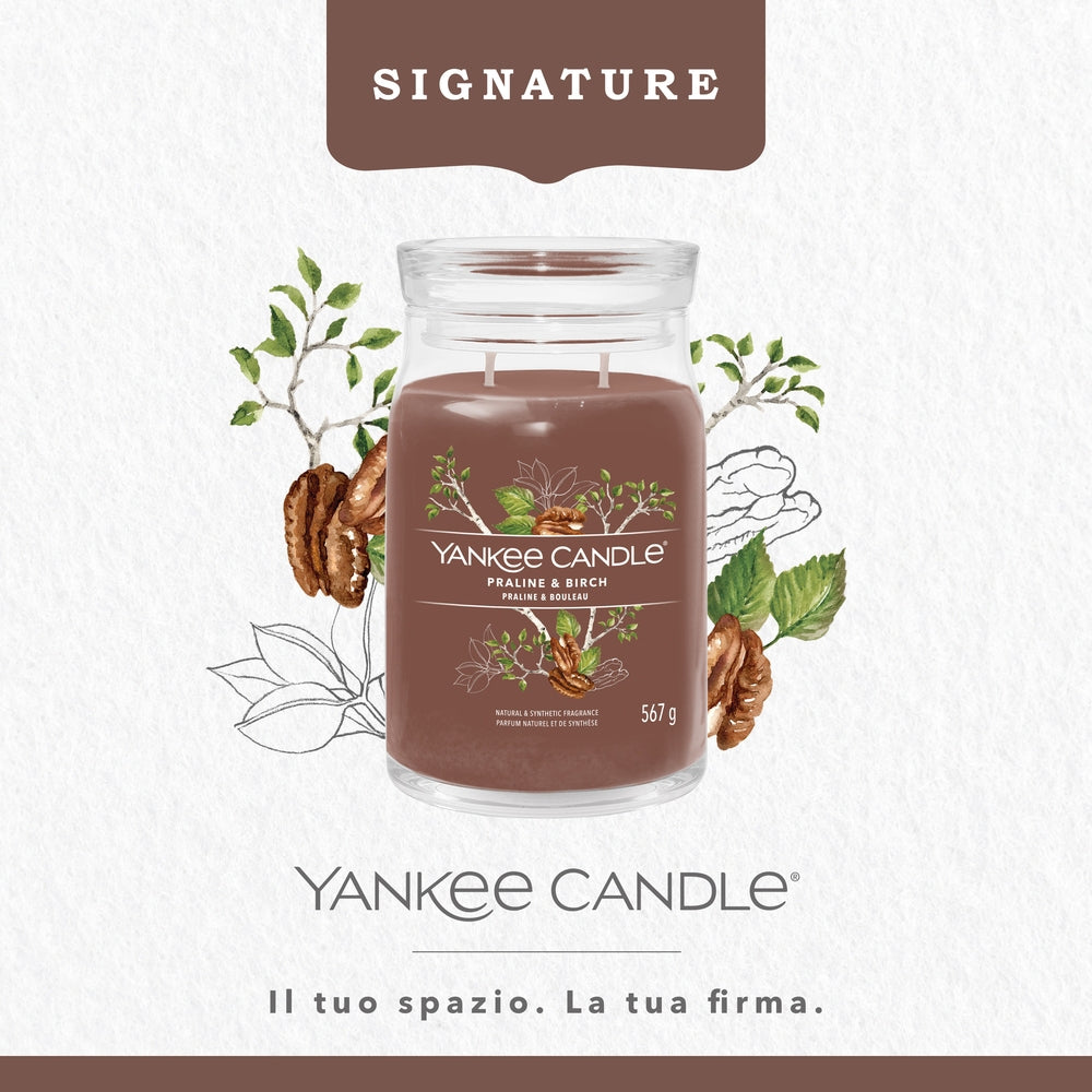 Yankee Candle Praline & Birch Signature-3