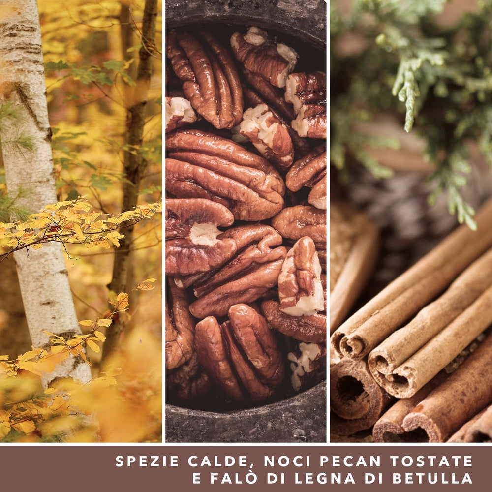 Yankee Candle Praline & Birch Signature-4
