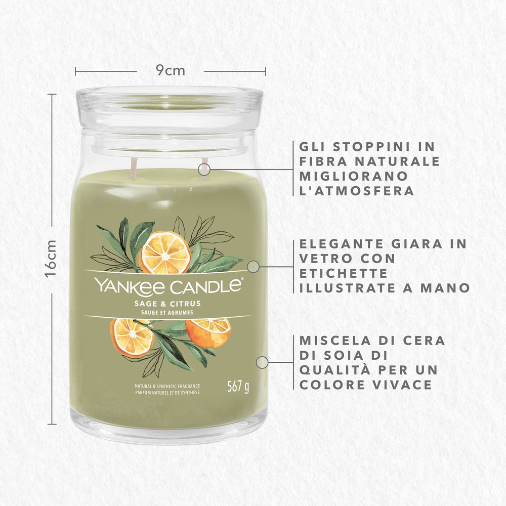 Yankee Candle Sage & Citrus Signature-3