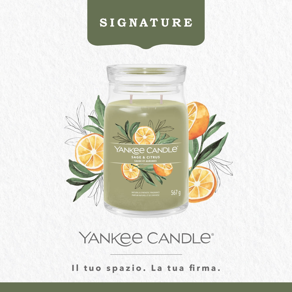 Yankee Candle Sage & Citrus Signature-4