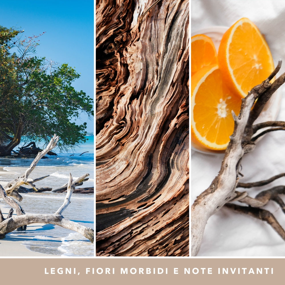 Yankee Candle Seaside Woods Signature Tumbler-4