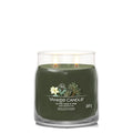 Yankee Candle Silver Sage Pine
