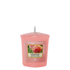 Yankee Candle Sun-Drenched Apricot Rose Sampler nched Apricot Rose