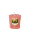 Yankee Candle The Last Paradise Sampler t Paradise