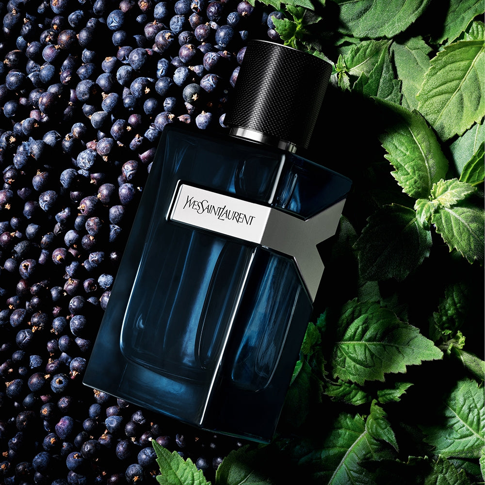 Yves Saint Laurent Y Intense-4