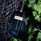 Yves Saint Laurent Y Intense-4