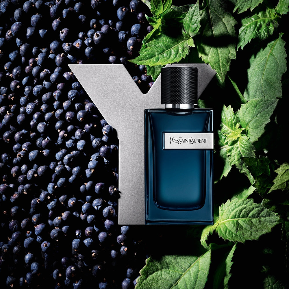 Yves Saint Laurent Y Intense-6